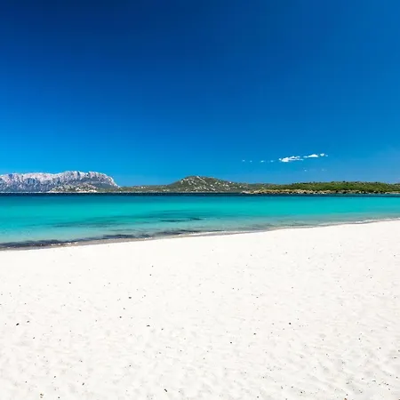 Homey Experience - Terrace Sea View