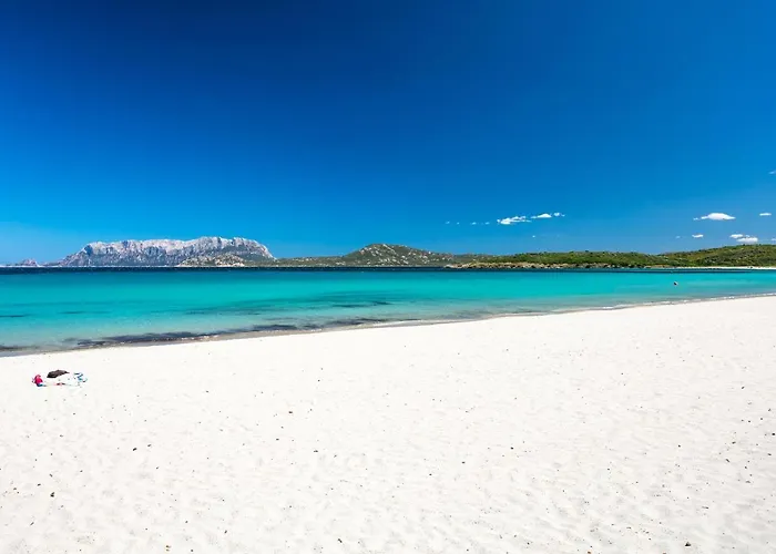 Homey Experience - Terrace Sea View